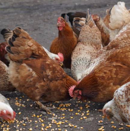 Arthi Innovative Water Solutions