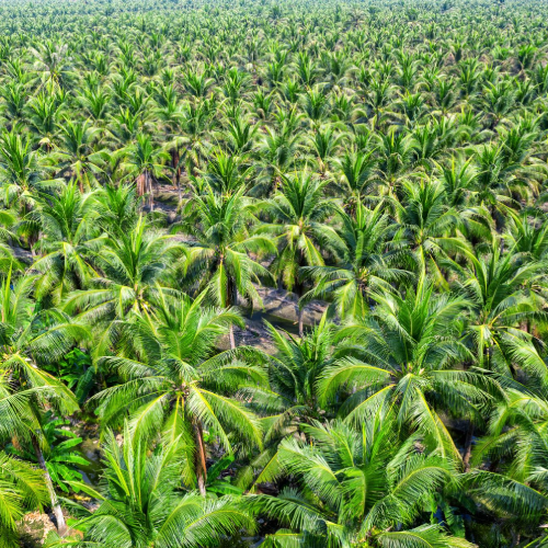 Arthi Innovative Water Solutions